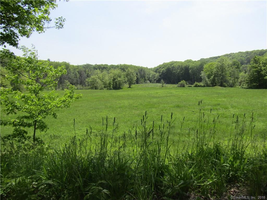 340 Cotton Hill Road - Photo 1