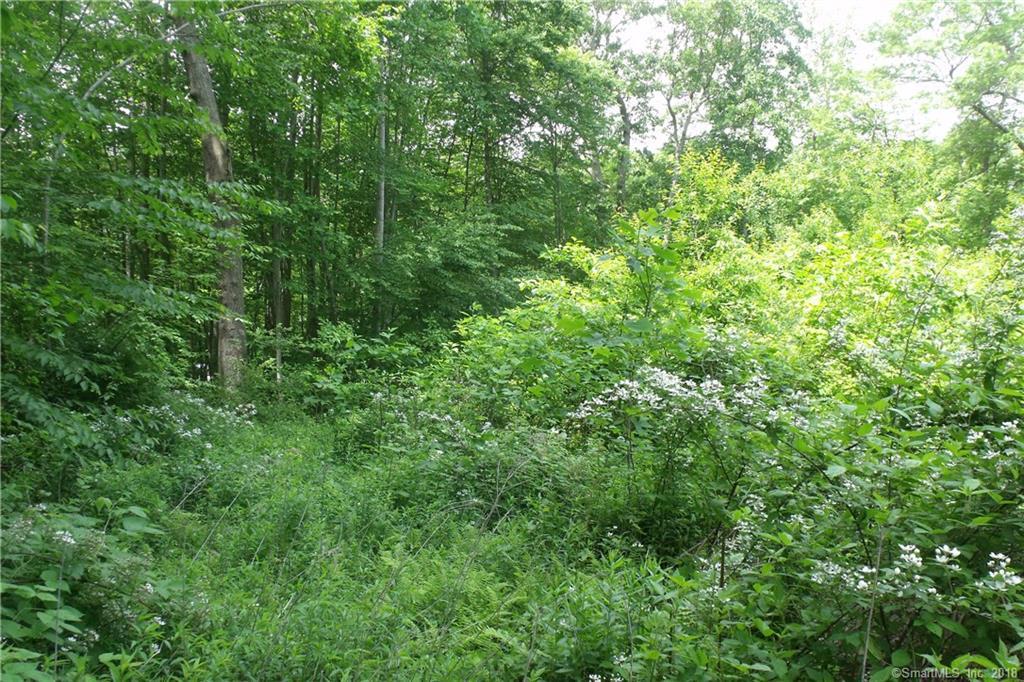 301 Pequot Avenue - Photo 1