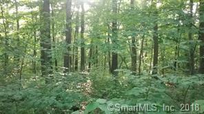 278 Pumpkin Hill Road - Photo 1