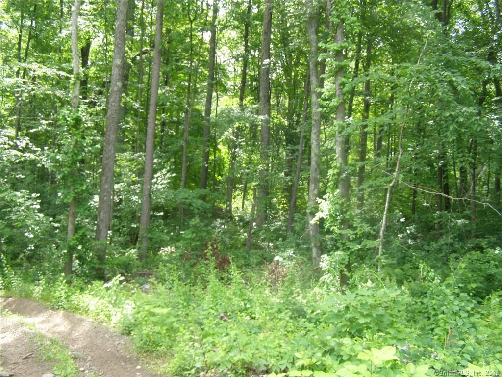 B-1 Parker Road - Photo 1