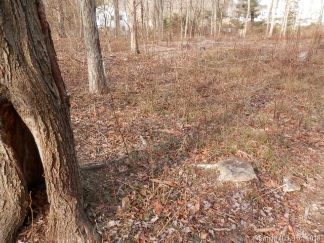 25 Wilton Acres - Photo 1