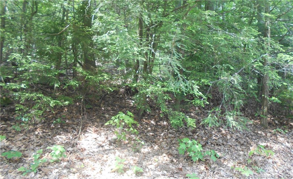 35 Blue Ridge Mountain Drive - Photo 1