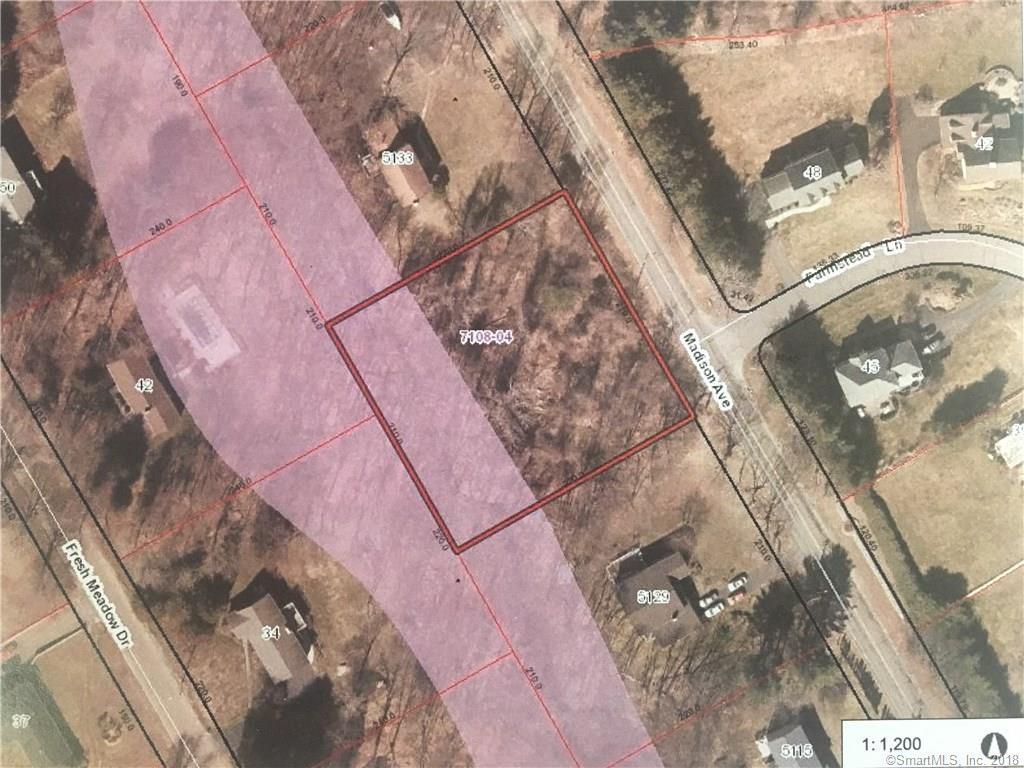 lot Madison Avenue - Photo 1