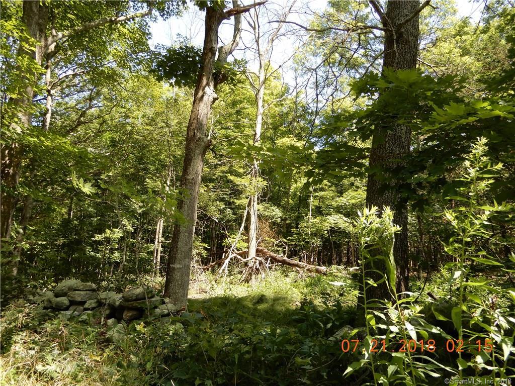 1 Bear Hill Road - Photo 1