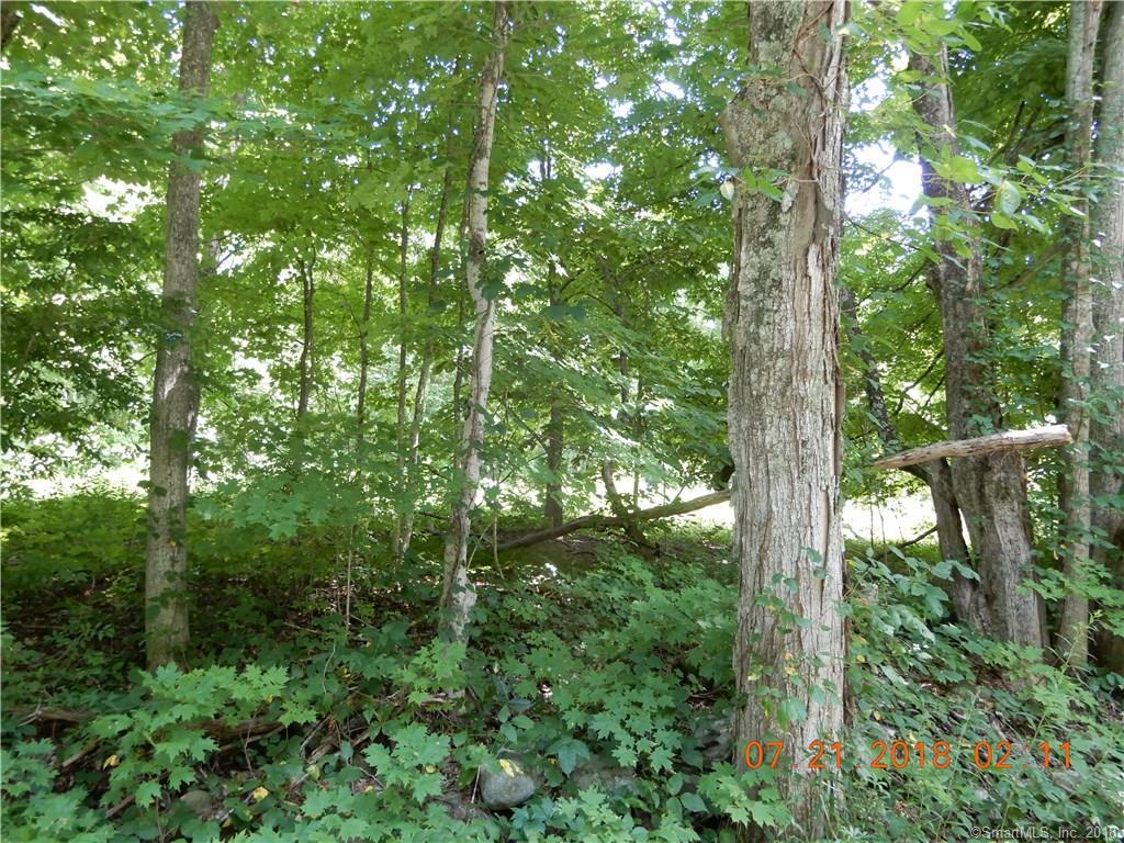 2 Bear Hill Road - Photo 1