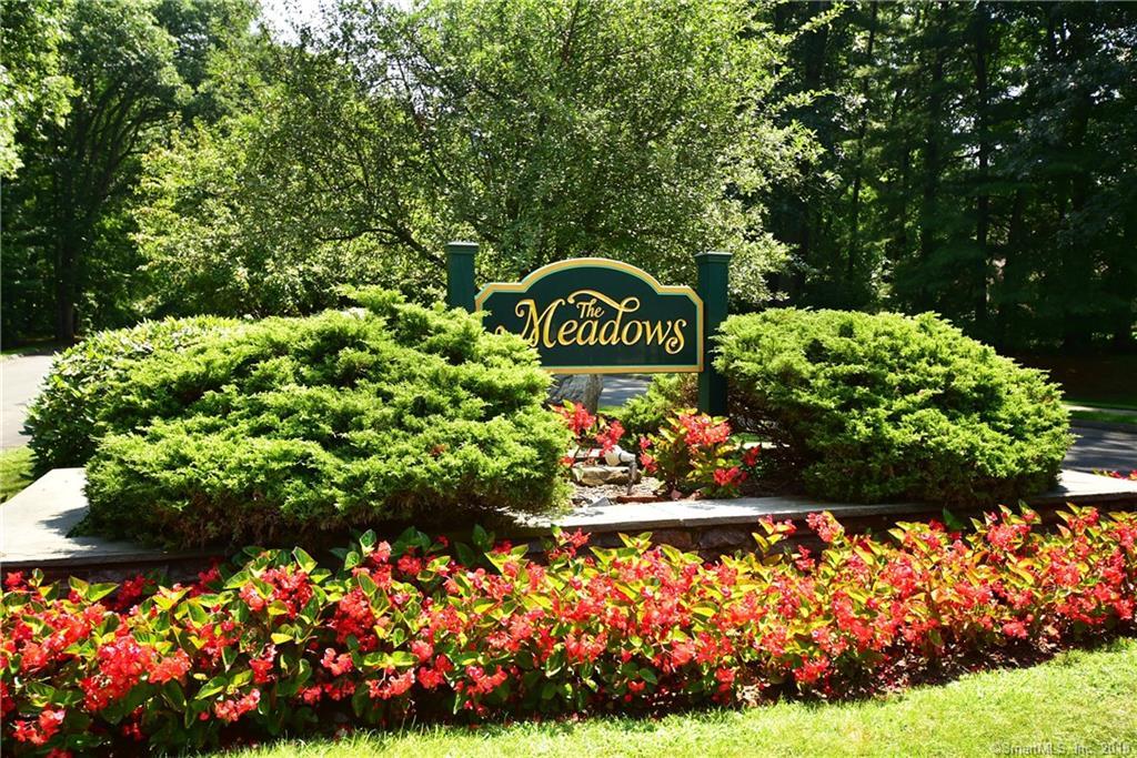 181 The Meadows - Photo 1