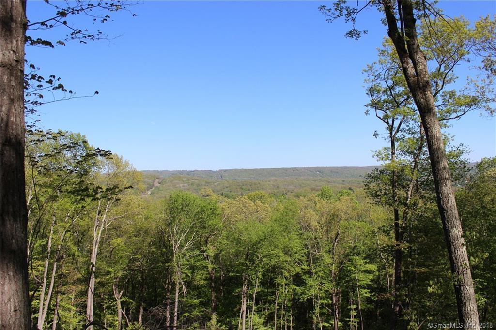 146 Long Mountain Road - Photo 1