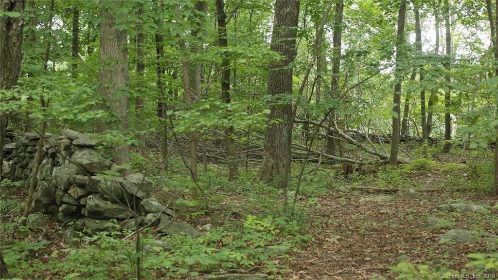 341 Miller Road - Photo 1