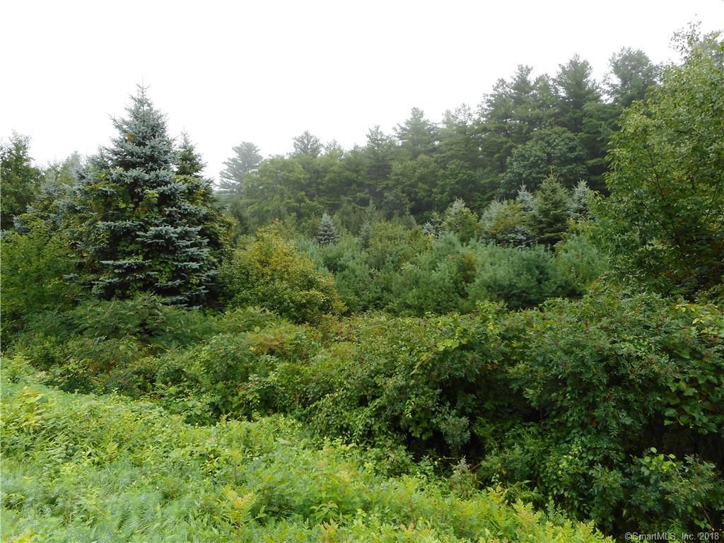 216 Tracy Road - Photo 1