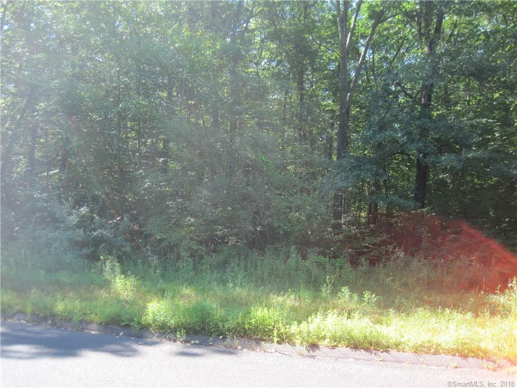 0 Old Blue Hills Road - Photo 1
