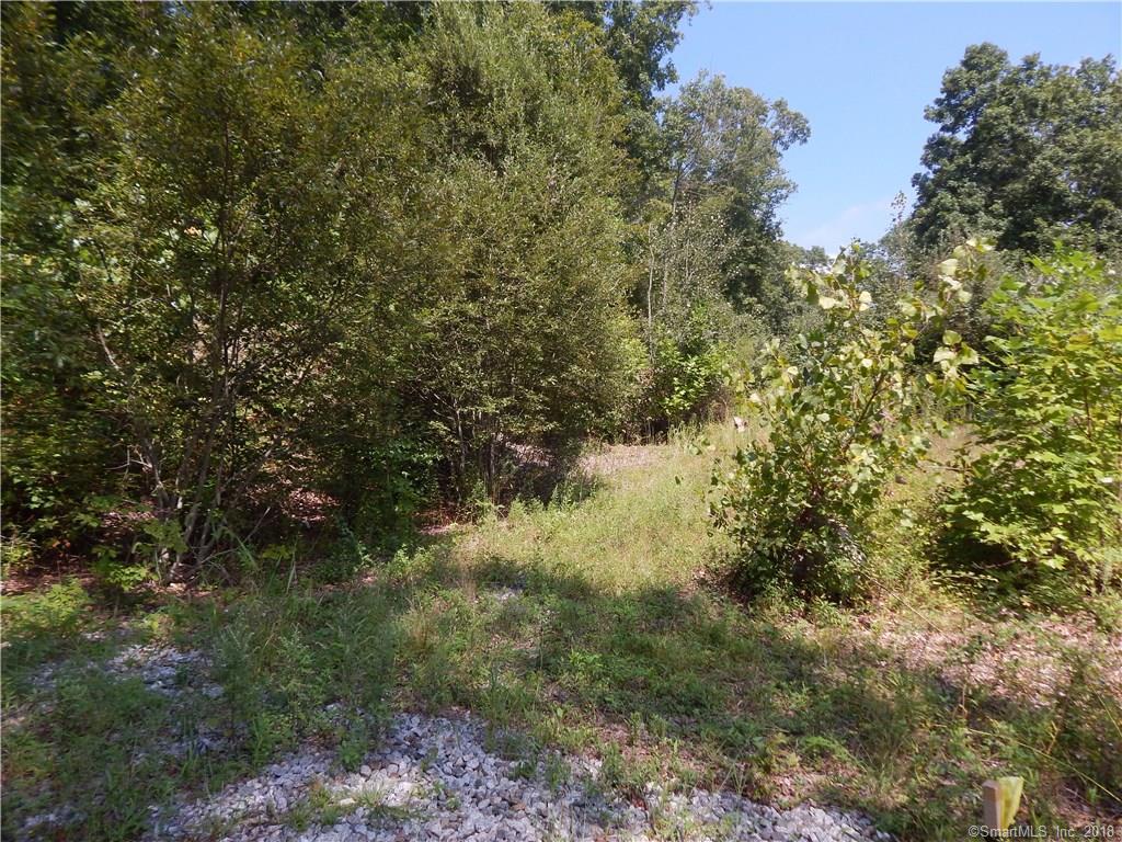 62 White Plains Road - Photo 1