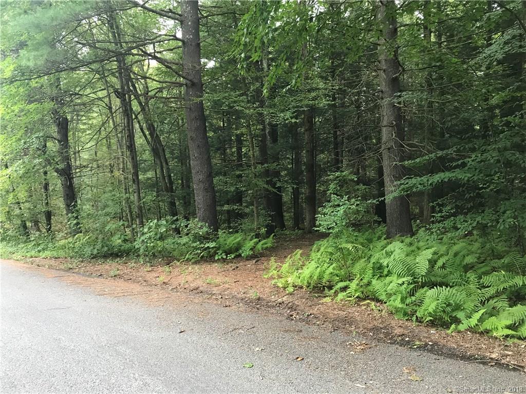 64 Pine Knob Road - Photo 1 64 Pine Knob Road - Photo 1