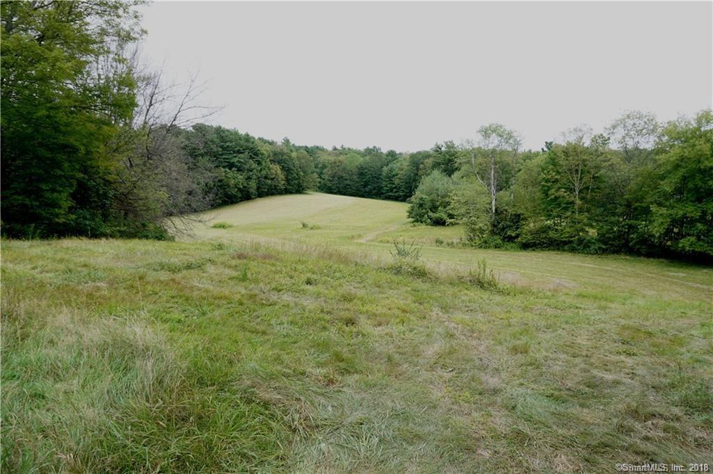 10 Polster Road - Photo 1