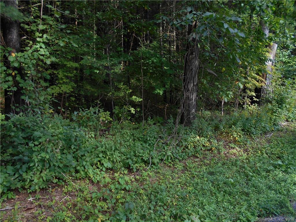 0 Route 71 - Photo 1
