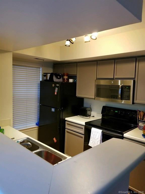 307 Carriage Crossing Lane - Photo 1
