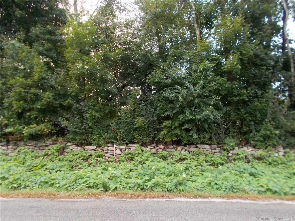 Lot C Fabyan Road - Photo 1