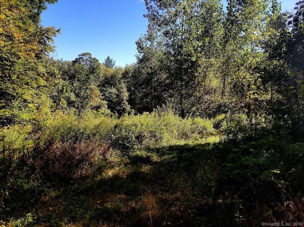 260 Diamond Ledge Road - Photo 1