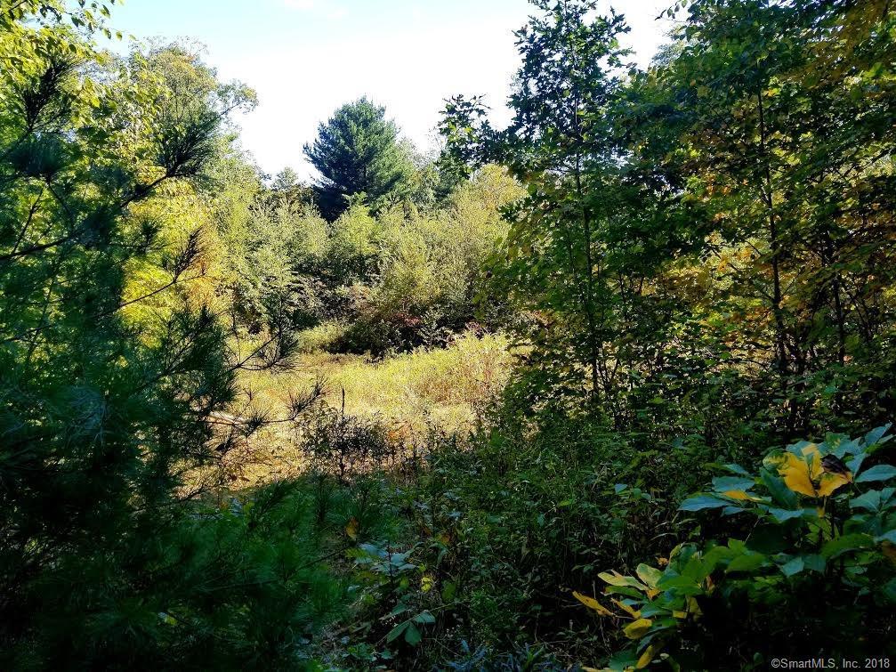 272 Diamond Ledge Road - Photo 1 272 Diamond Ledge Road - Photo 1