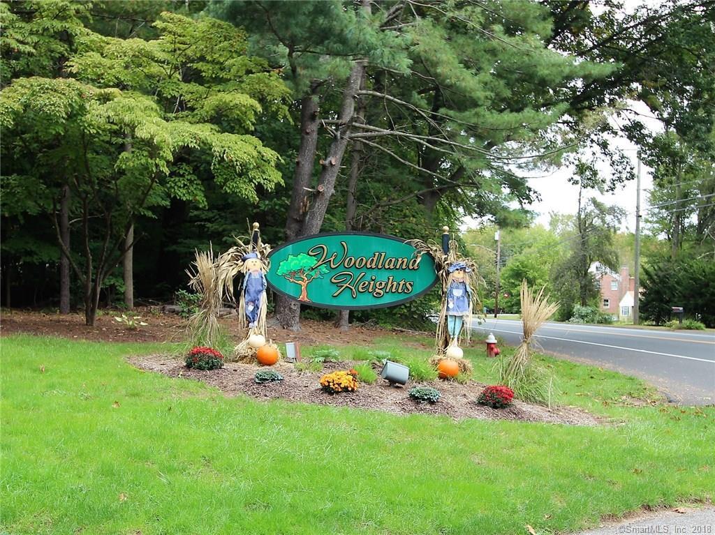 142 Woodland Drive - Photo 1