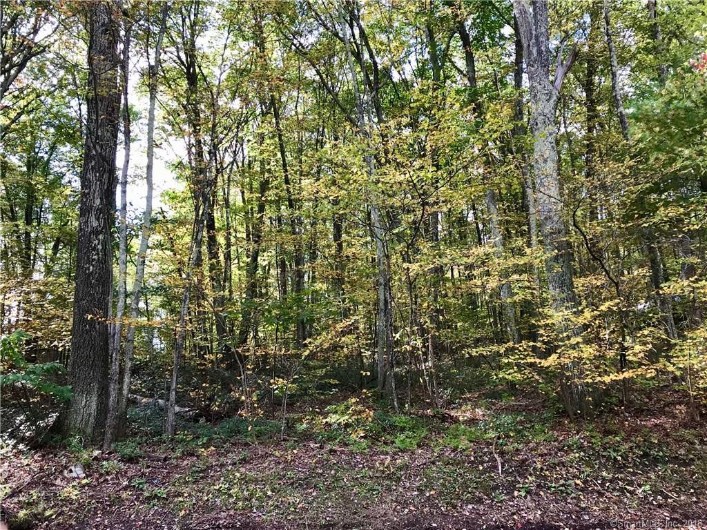 61 Canaan Valley Road - Photo 1