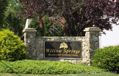 180 Willow Springs - Photo 1