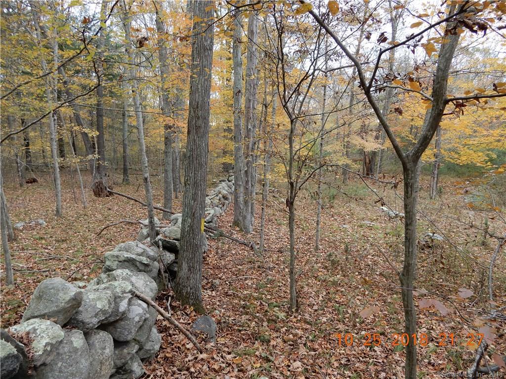 0 Warrenville Road - Photo 1