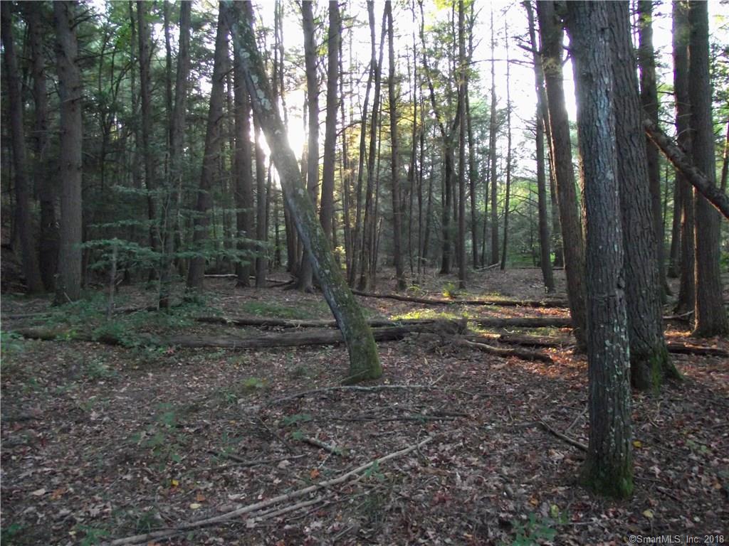 Lot 17 Shailor Hill Road - Photo 1