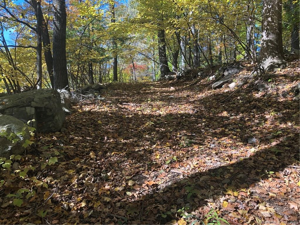 6 A Old Still Road - Photo 1