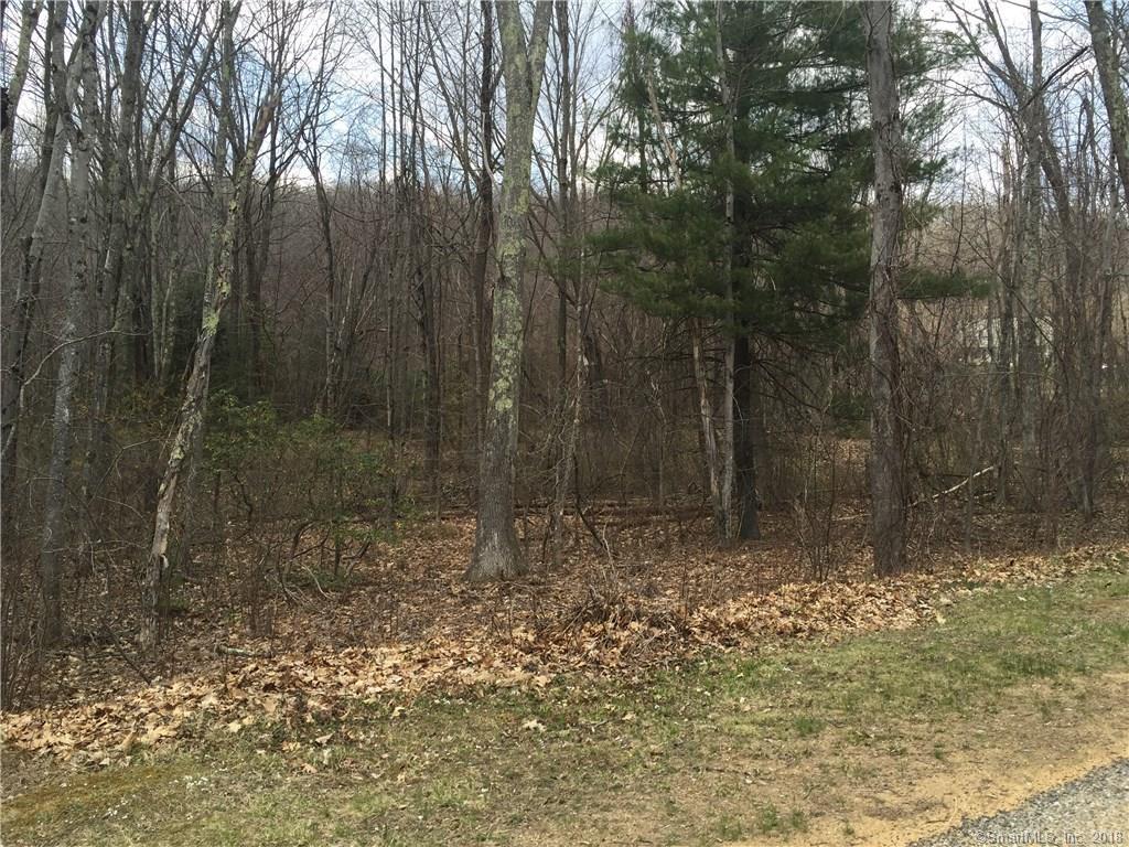 0 Stickney Hill Road - Photo 1