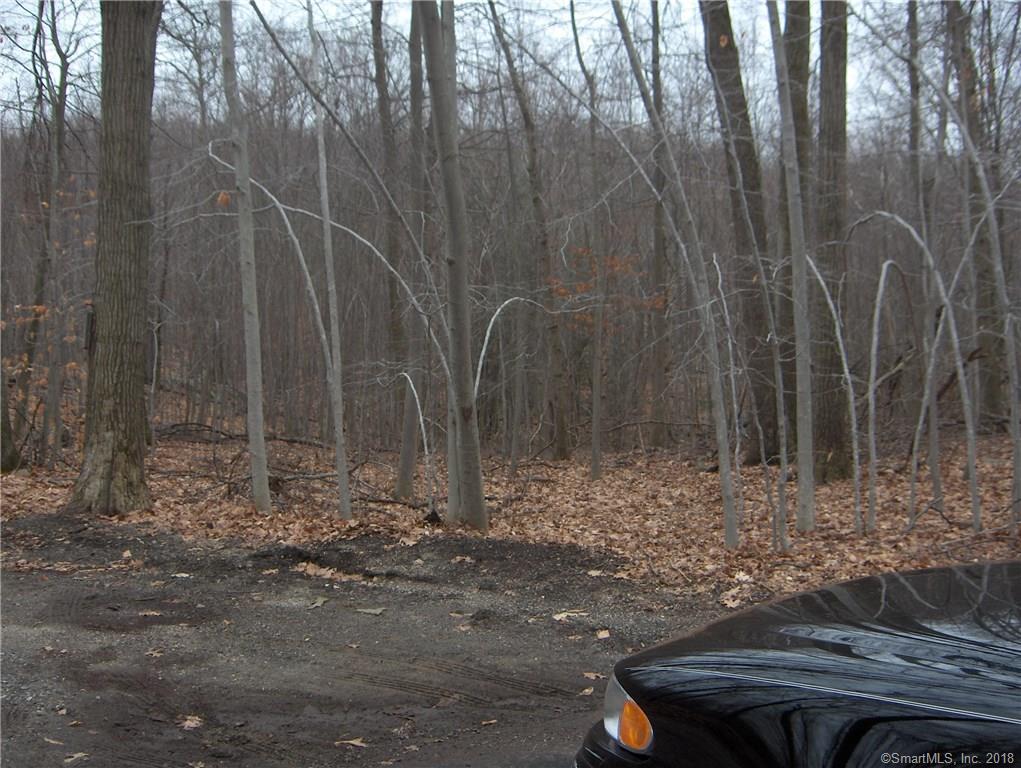 46 Long Meadow Lane - Photo 1