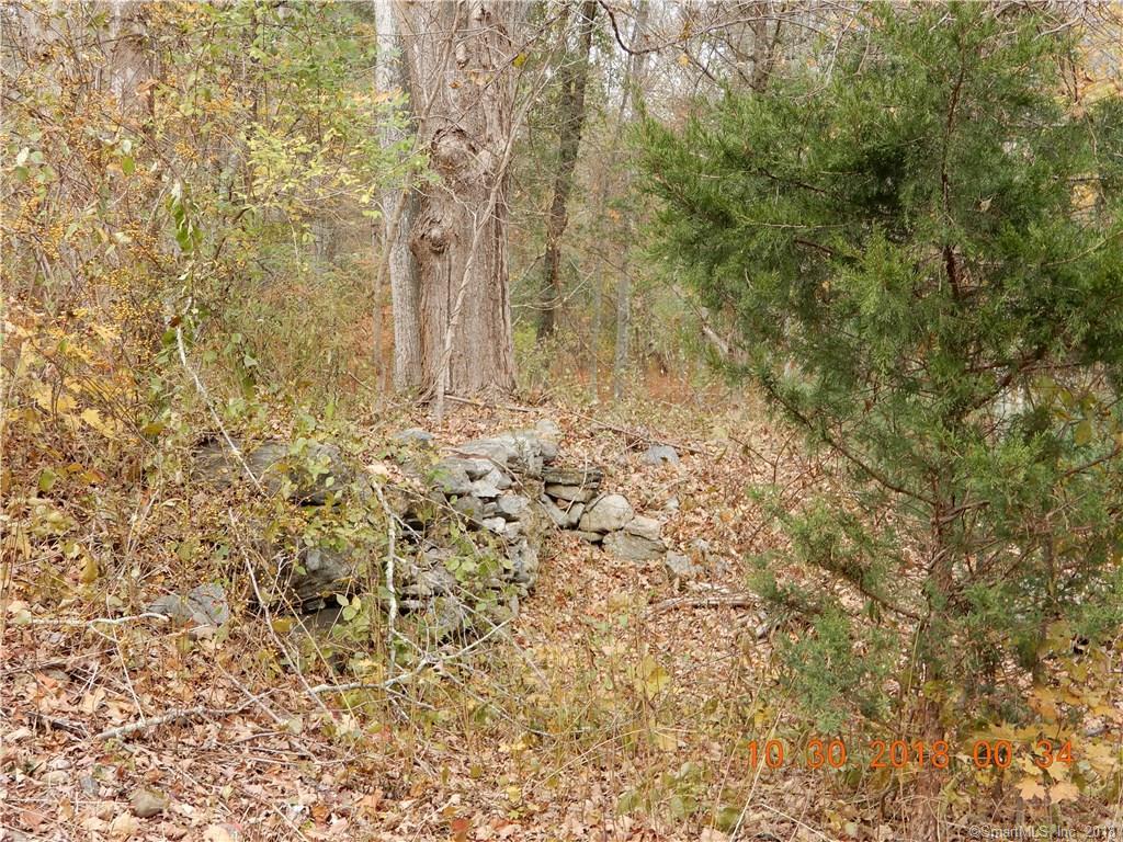 A Warrenville Road - Photo 1