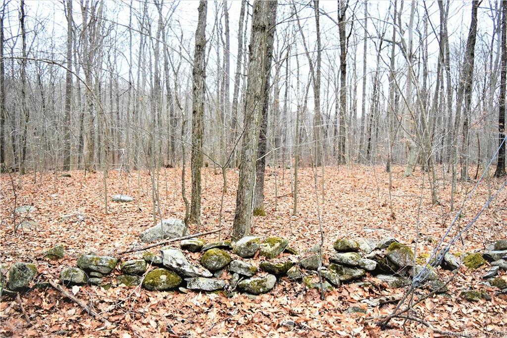 225 Parker Hill Road - Photo 1
