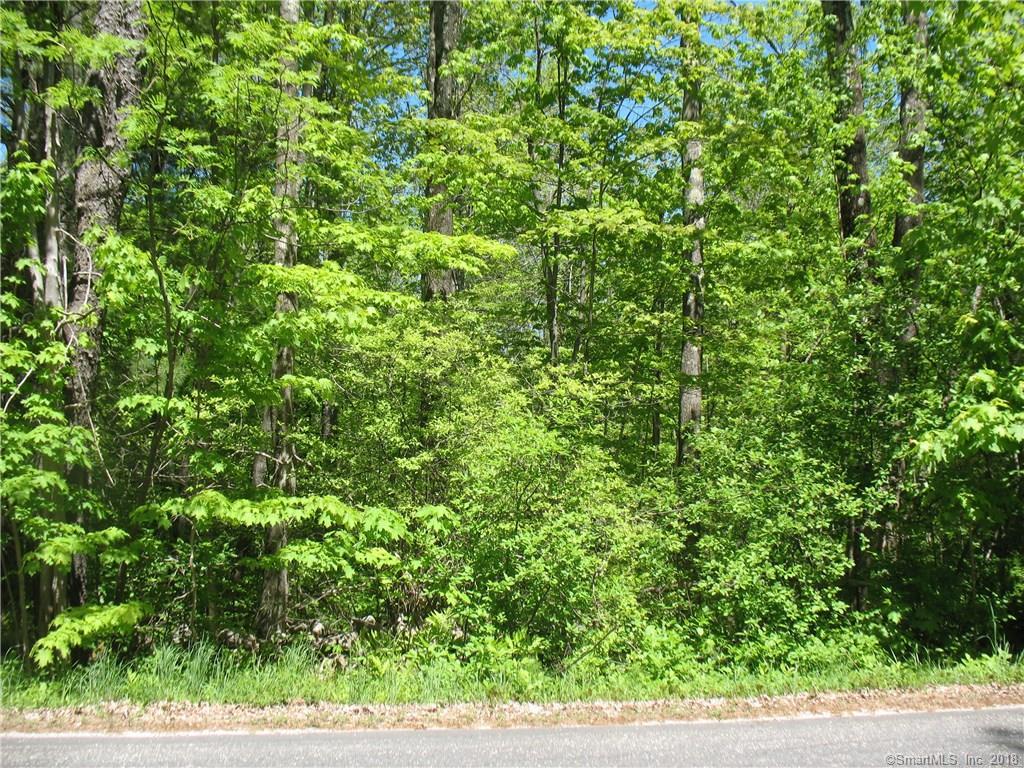 0 Old Colebrook Road - Photo 1