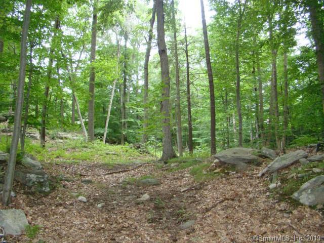 Lot #11 Partridge Road - Butternut Lane - Photo 1