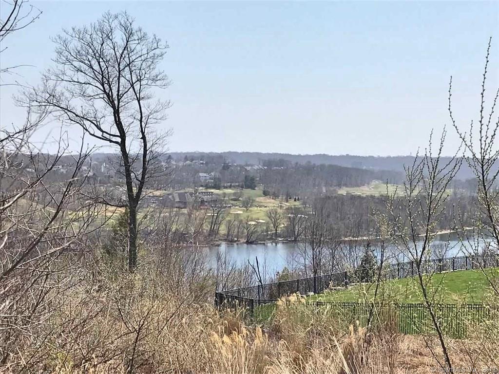 16 Nature Lane - Photo 1