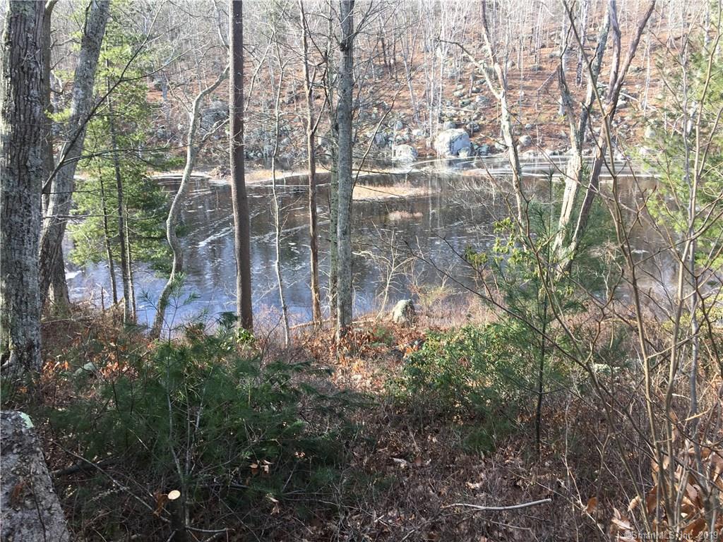 83 Bassett Mills Road - Photo 1