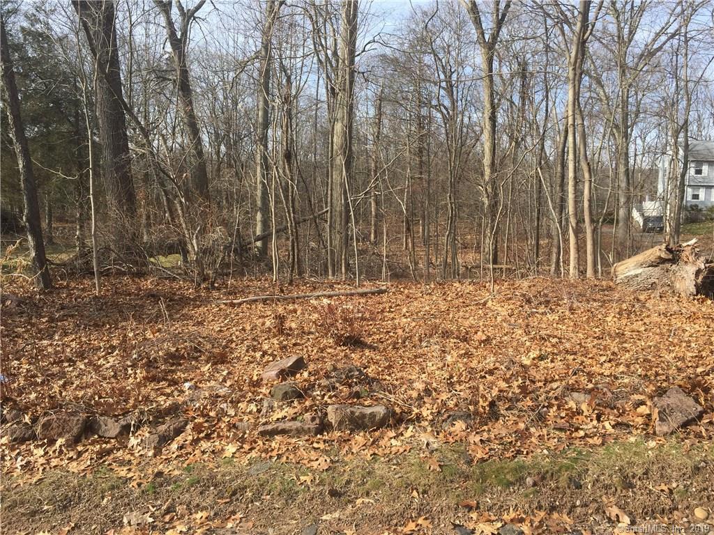 111 High Ridge Road - Photo 1