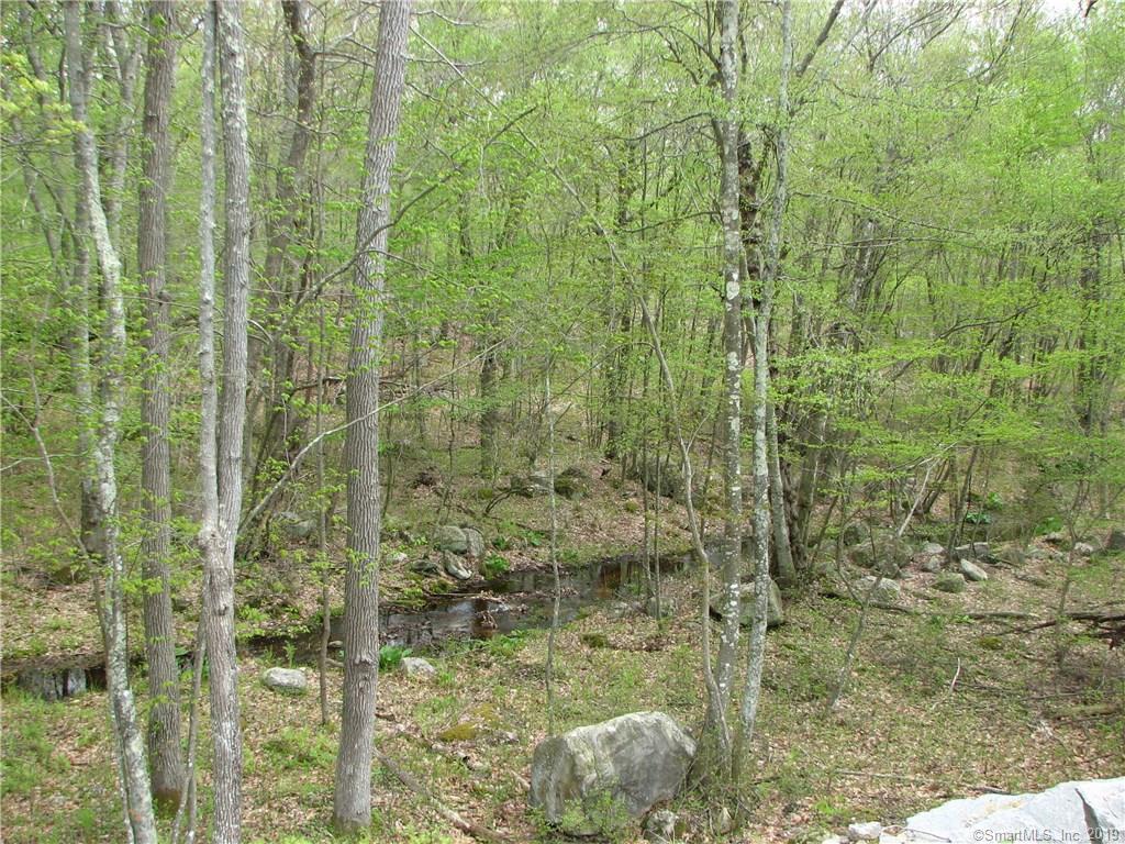 41 Shawondassee Drive - Photo 1