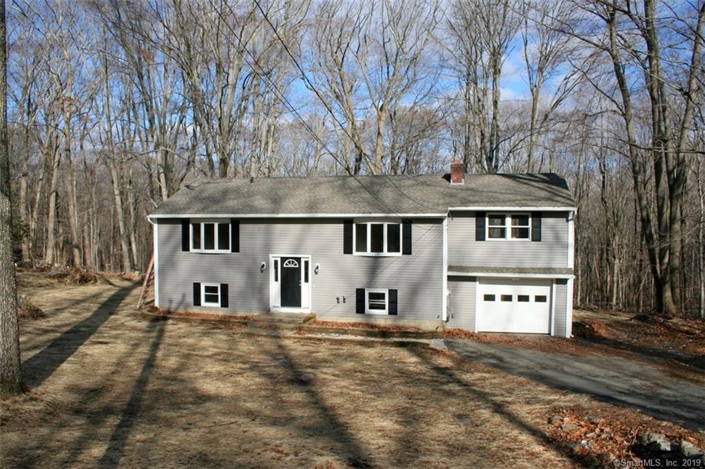 646 Colonel Ledyard Highway - Photo 1