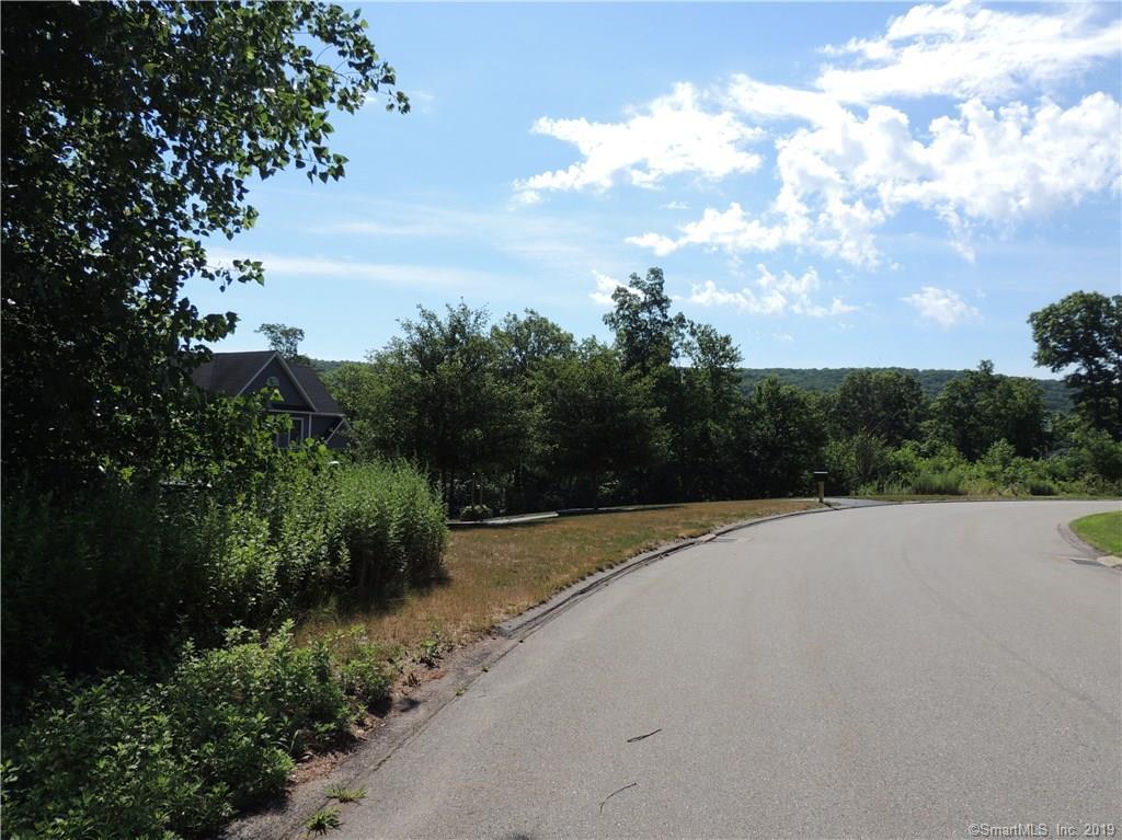 Lot 12 Meshomasic Trail - Photo 1