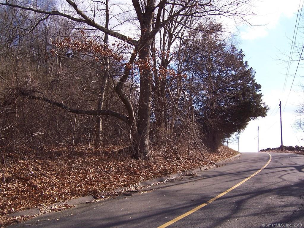 12-7-21 Derby Neck Road - Photo 1