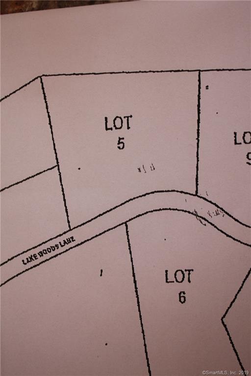 LOT 5 Lake Wood Lane - Photo 1