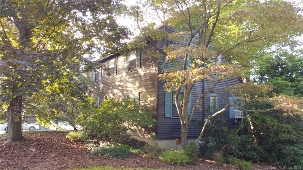 24 Herbert Street - Photo 1