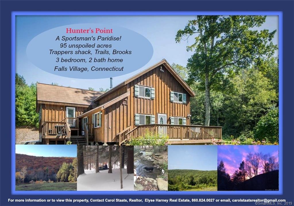 124 Canaan Mountain Road - Photo 1