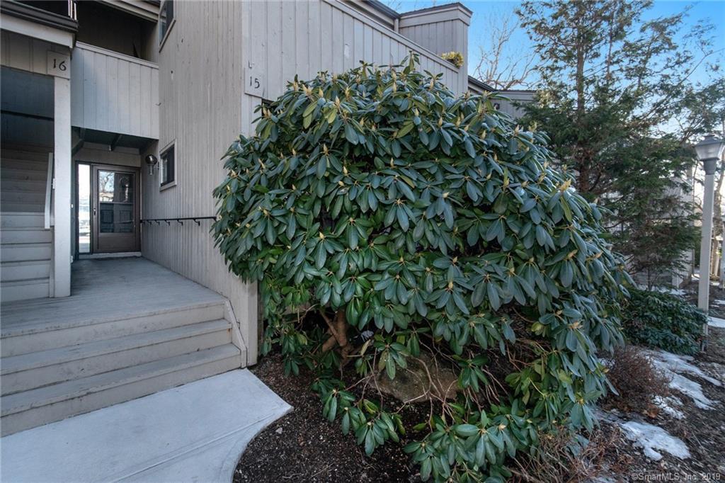 15 Whitney Glen - Photo 1