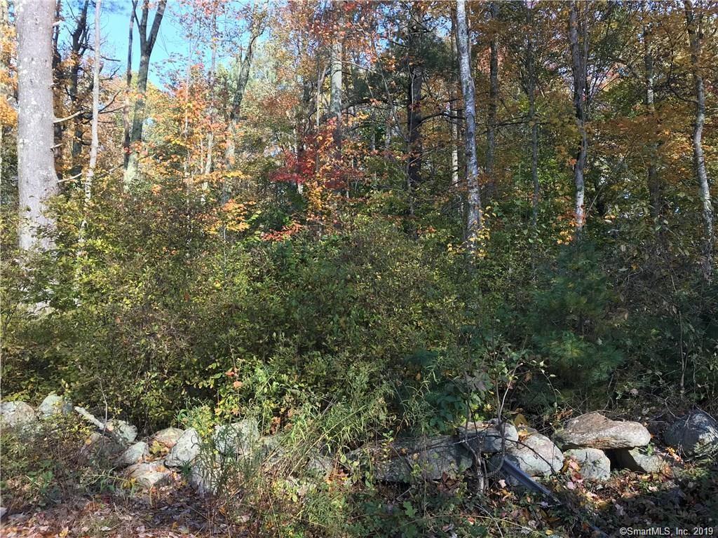 101 Shore Road - Photo 1
