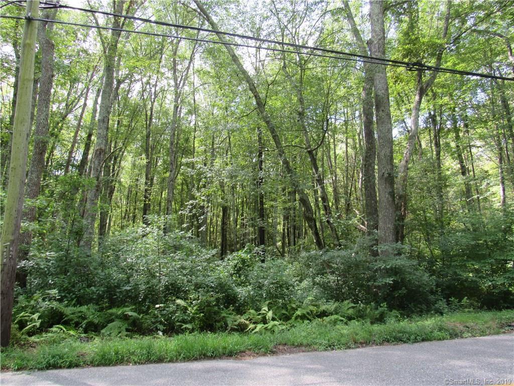 96 Butlertown Road - Photo 1