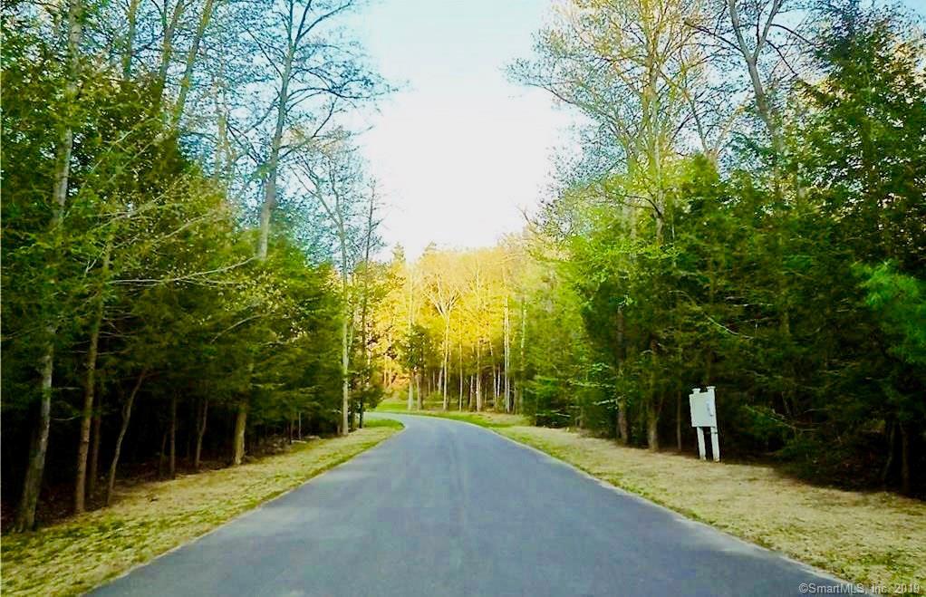 Lot 3 Mountain Springs - Photo 1
