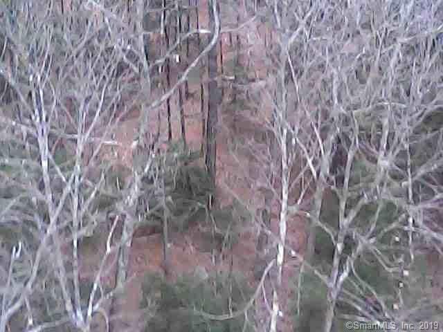 19 Ratlum Mountain Road - Photo 1