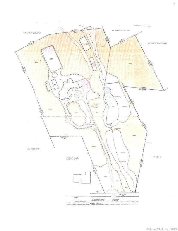 220 Damascus Road - Photo 1
